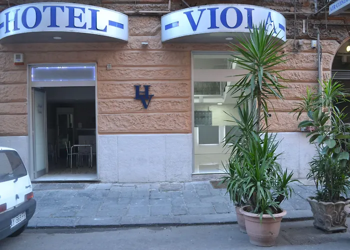 Viola